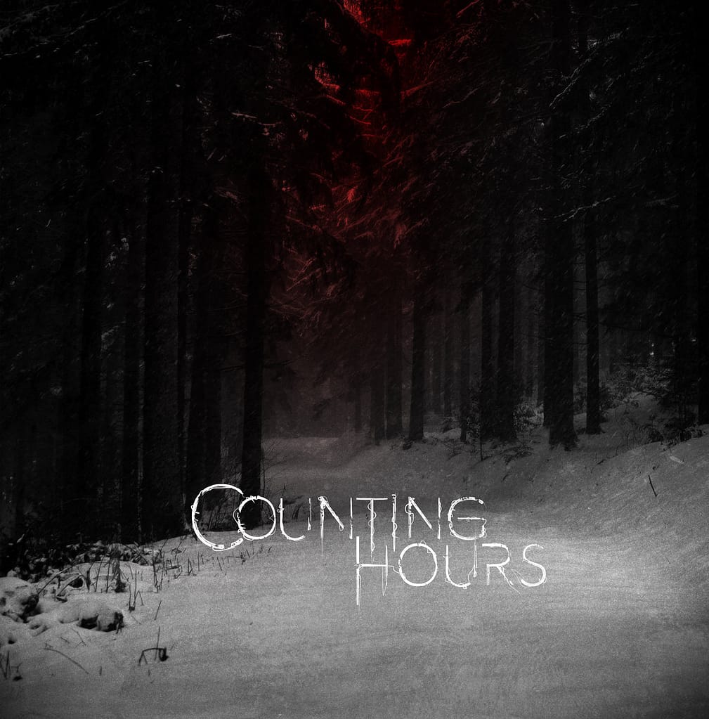 counting hours cover album the will